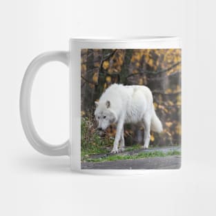 Pair of Arctic Wolves in fall Mug